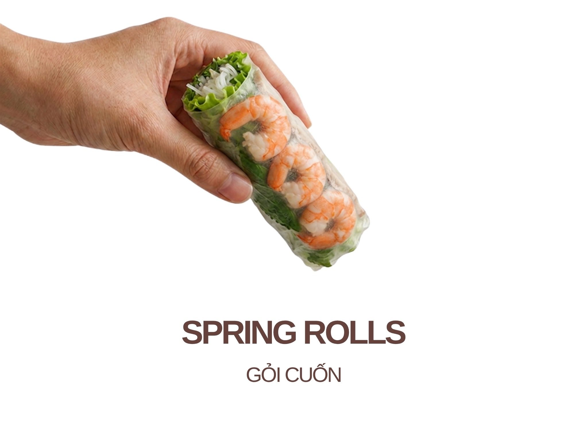 Spring Roll.